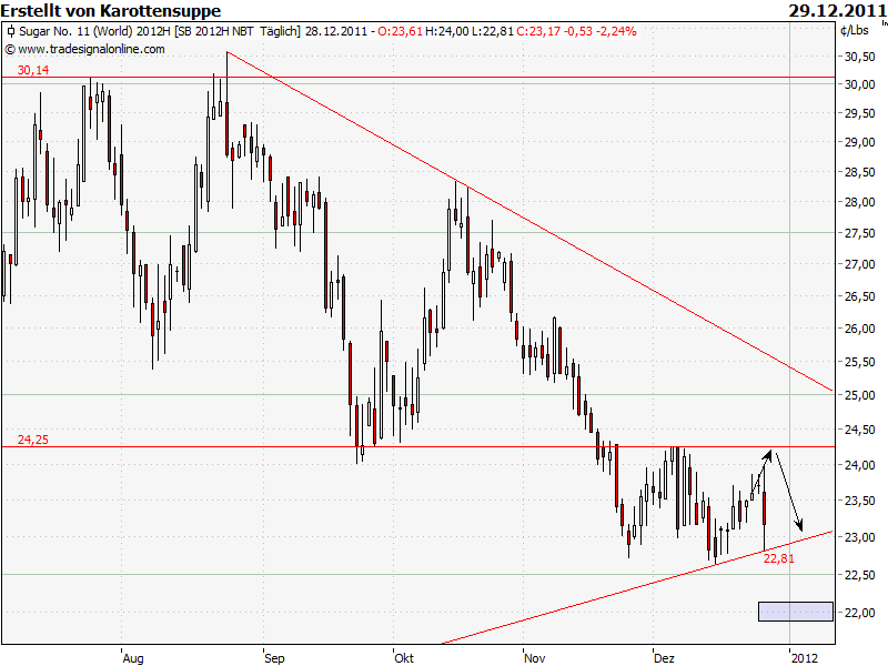 Die Zuckerhausse kommt 471897