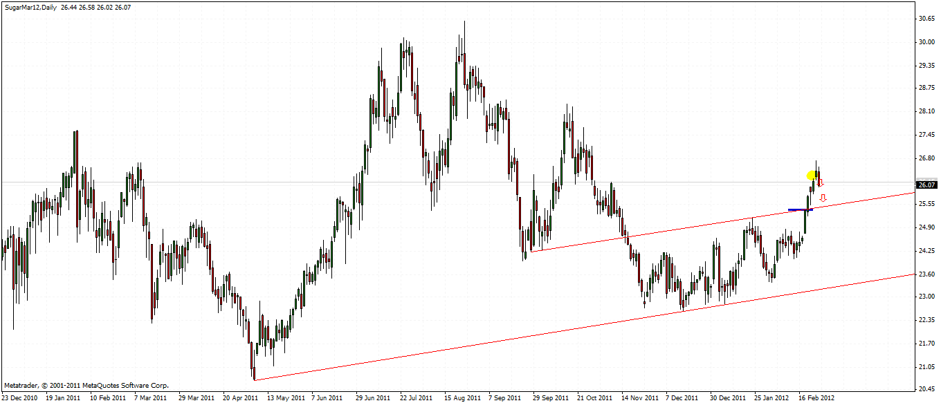 Die Zuckerhausse kommt 489511
