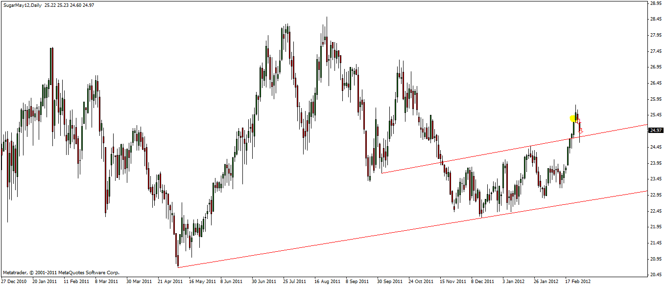 Die Zuckerhausse kommt 489852