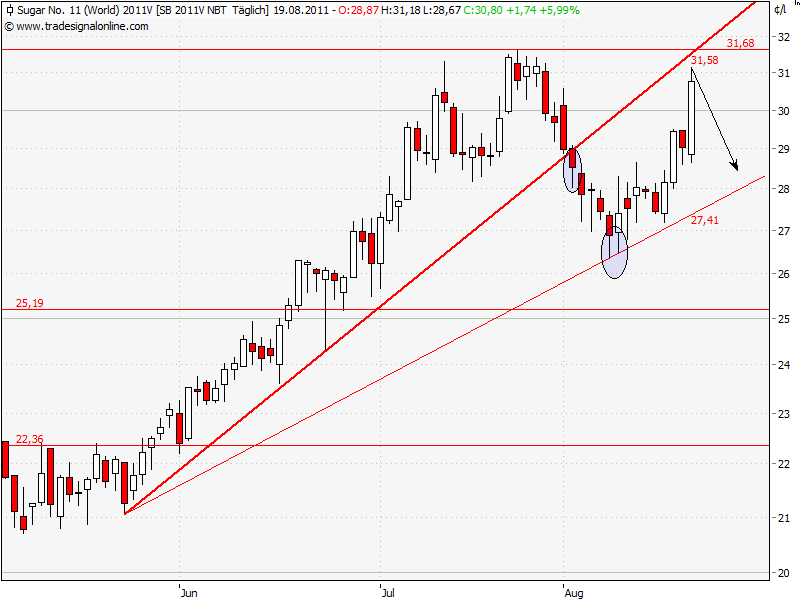 Die Zuckerhausse kommt 432143