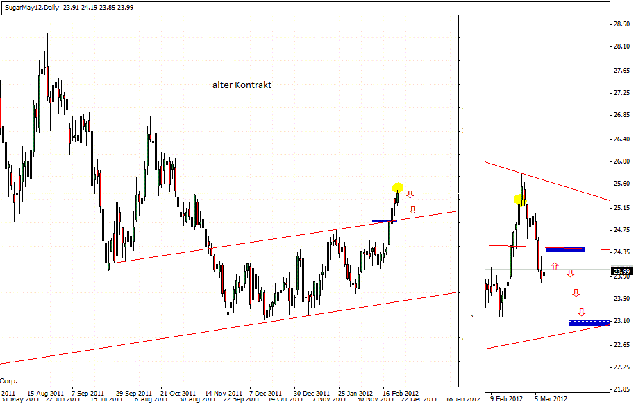 Die Zuckerhausse kommt 491782