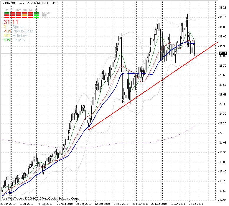 Die Zuckerhausse kommt 380308