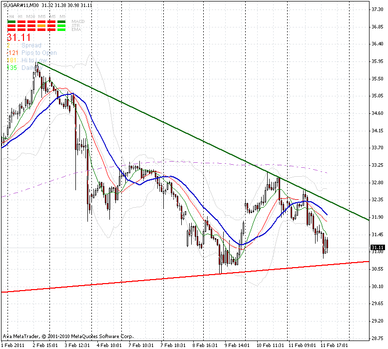 Die Zuckerhausse kommt 380313