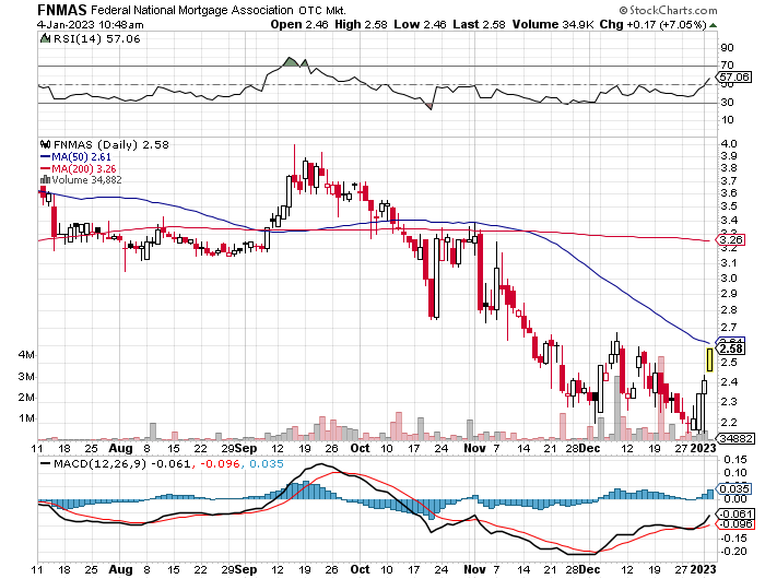 Fannie Mae - Chance auf Verdreifachung bis Juli 1349696