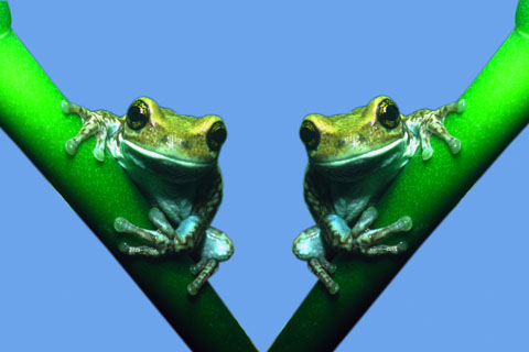 1.065.DAX-Tipp-Spiel, Dienstag 23.06.2009 240361