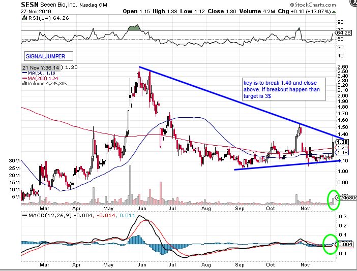 SESN Sesen Bio, Inc FDA play undervalue 1146674
