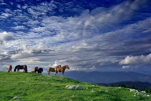 666.DAX Tipp-Spiel, Dienstag, 20.11.07 131979