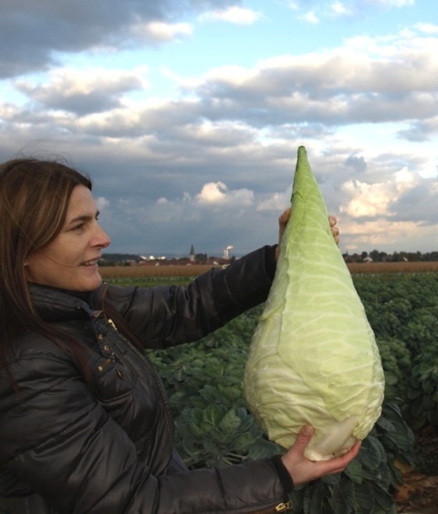 Gibt`s denn hier nix zu K+S? o. T. 274954